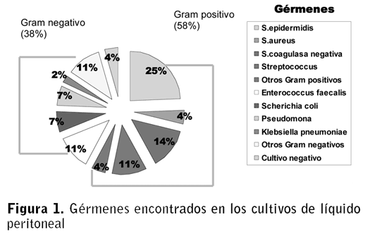 Figura 1